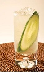 Enjoy the exotic flavors and passion of Brazil in this unique Amazon-inspired drink recipe. The Amazonia Caipirinha is made from Leblon cachaca, St-Germain elderflower liqueur, white cranberry juice, lime juice, basil, champagne and cucumber, and served over crushed ice in a highball glass.