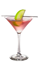 The Cranberry Apple Martini is a pink cocktail made from Smirnoff cranberry vodka, green apple vodka and cranberry juice, and served in a chilled cocktail glass.