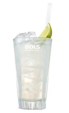 The Dutch and Stormy is a refreshing clear colored drink made from Bols Genever, ginger beer and lime, and served over ice in a highball glass.