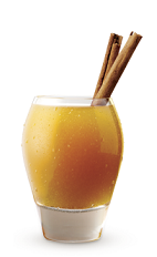 The Spiced Apple Cider is an adult drink recipe perfect for a Halloween party. Made from Cruzan 9 Spiced rum, simple syrup, lemon juice, apple cider and cinnamon, and served over ice ina rocks glass.