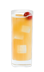 The Bitter Bird is a refreshing summer drink made from Wild Turkey bourbon, lemon juice, simple syrup and club soda, and served over ice in a highball glass.