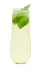 The Albahaca Sour cocktail recipe is made from Chilean pisco, basil, lime juice, simple syrup and club soda, and served over ice in a highball glass.