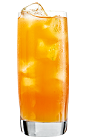 The Apricot Kiss is a tangy orange drink made from Rose's Apricot cordial, vodka and orange juice, and served over ice in a highball glass.