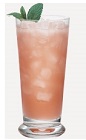 The Bloody Blossom is a fruity and less sinister version of the classic Bloody Mary cocktail. A peach colored drink made from Burnett's vodka, orange juice and tomato juice, and served over ice in a highball glass.