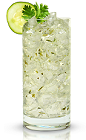 The Citron Sipper is a relaxing clear colored drink made from New Amsterdam citron vodka, cucumber, cilantro, simple syrup and lemon-lime soda, and served over ice in a highball glass.