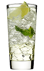 The Classic Mojito is a clear drink made from rum, Rose's mojito cordial, Rose's lime cordial, mineral water, mint and lime, and served over ice in a highball glass.
