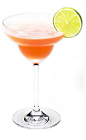 The Disarita Fresh is a peach colored cocktail made from Disaronno liqueur, silver tequila, guava juice and lime juice, and served in a chilled margarita glass.