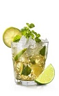 The Frangelico Mojito is a nutty variation of the classic Mojito drink recipe. Made from Frangelico hazelnut liqueur, brown sugar, mint and club soda, and served over ice in a rocks glass.
