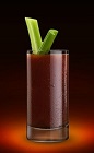 The Jager Mary is a manly version of the classic Bloody Mary drink recipe. A red colored drink made from Jagermeister and Bloody Mary mix, and served over ice in a highball glass.