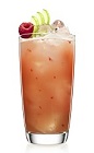 The Rapple is a peach colored drink that can be served any time of the year, from a Halloween cocktail party to a summer pool party. Made from Malibu coconut rum, cloudy apple juice and raspberries, and served over ice in a highball glass.