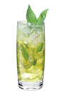 The American Honey is an American drink made from Wild Turkey American Honey bourbon, lemon juice, mint and club soda, and served over ice in a highball glass.