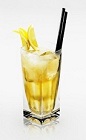 The Tonic Disaronno is a perfect drink for relaxing on the beach or at home. A tall drink made from Disaronno, lemon juice and tonic water, and served over ice in a highball glass.