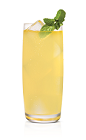 The Vanilla Mosquito drink is made from Stoli Vanil vanilla vodka, vanilla liqueur, pineapple juice, lime juice, mint leaves and agave nectar, and served over ice in a highball glass.