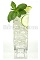 The Garden and Tonic is a clear colored drink made from the best ingredients of your backyard garden. Made from gin, celery bitters, elderflower liqueur, mint, cucumber, lime and tonic water, and served over ice in a highball or collins glass.